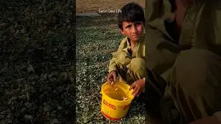 Village life #villagelife #villagevlog #villagepakistan
