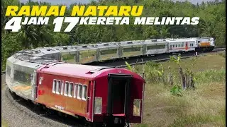 WOW !!! RANGKAIAN CAMPURAN TAKSAKA TAMBAHAN tanpa livery dan kereta tanpa nama khusus Nataru