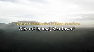 Discover Indonesia's Hidden Paradise Siberut Island, Mentawai (Part 1)