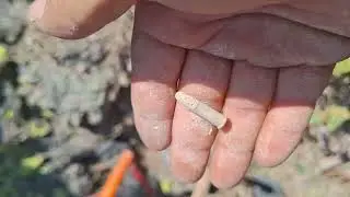 El tesoro💰 del cerro de la mina en (Tlajomulco)