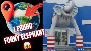 Funny Elephant found on google earth and google maps | streetview discoveries