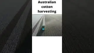 Australian cotton harvesting. #australiancotton #australianfarming #johndeere #cottonharvest #shorts