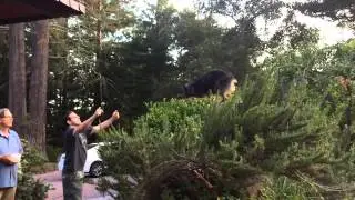Flying Chaco