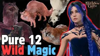 PURE 12 WILD MAGIC Sorcerer Build in Baldur's Gate 3