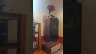 McIntosh 240 & Audio Research Reference One... setting up my new space #Shorts