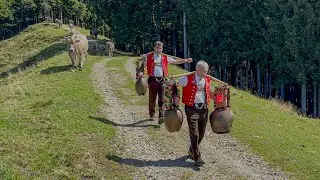 Alpine Descent Through the Village of Appenzell | Öberefahre in Appenzellerland, Switzerland
