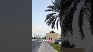 Beautiful Abu Dhabi Road 🥰 #abudhabi #abudhabiroad #notraffic #shortsvideo #shorts #safeandsecure