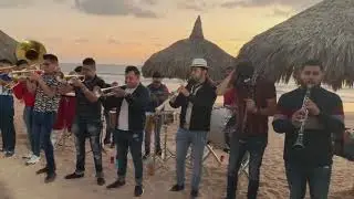 Tecateando y Perla Azúl - Banda La Indicada (La Mejor De Maza) 🌊🎶🎺