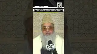 Dr Imam Umer Ahmed Ilyasi condemns killing of Bangladeshi hindu youth, calls for Indian interference