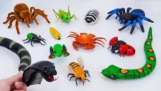 [toy asmr] Zuru Robo Alive Lizard & Tarantula & Insect Toy Collection | Satisfying Unboxing