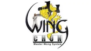 Wing Chun techniques - lesson 2 (Bong Sao)