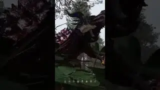 Another Dragon Age style Dragon Slayer. #pc #gaming
