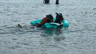 Cooling off at Kal lake 