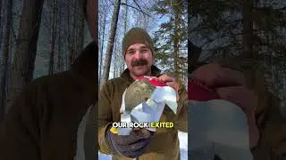 Самый научный эксперимент в мире
