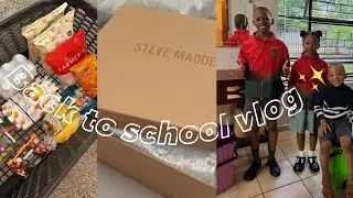 Spent over 10K  on  back to school preps|Steve Madden spoils|surviving without a helper 