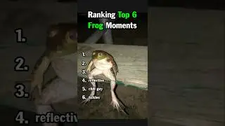 Ranking Top 6 Frog Moments #animalvideos #funny #frog #shorts