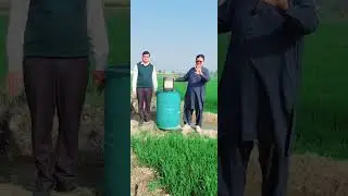 If you want to increase crop production, Dino DAP, which has an effect of more than 100,