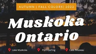 Fall Colors in 2022 around Muskoka, Ontario | Fall Foliage | Autumn Colors |  | 10 mins
