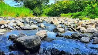 Relaxing River Sounds for Deep Sleep Calming Water Ambience Stress Relief All Night