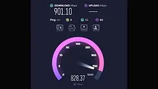 Spectrum Fiber | 