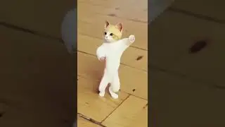 cute billi dancing💃 bhojpuri song🎵 #virals #billi #cat #animals #shortsvideo