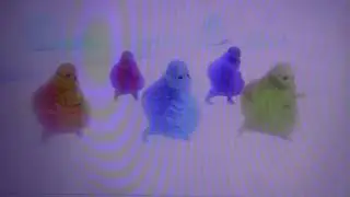 The Boohbahs Hop To It With Some Boohbah Skips To Nothing Even Matters (Big Time Guru)