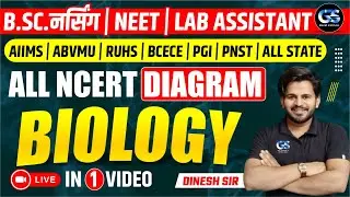 all ncert biology diagram  in one shot || neet || bsc nursing entrance exam 2023|| dinesh sir !!