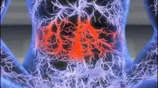 The Etheric Body