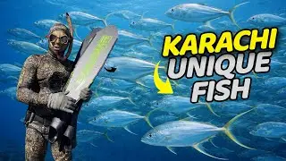 Уникальный улов рыбы в Карачи | Косяк нитеперой каранкса | Кристально чистая вода