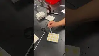 Enzyme experiment