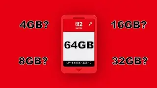 The Nintendo Switch 2 Game-Key Card Fiasco - A Variety of Sizes Are Needed