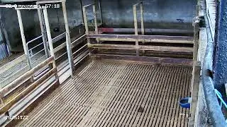 Calving camera installation results 