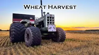 Wheat Harvest with the Massey 8570, Oliver 770, and HERMAN!