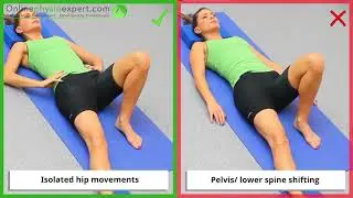 Hip Adductor Strengthening Exercise Tutorial (Level 2) - ONLINE PHYSIO EXERCISES