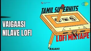வைகாசி நிலவே LoFi | Tamil Superhits LoFi Mixtape | Haricharan | Madhushree | Raahi Songs |
