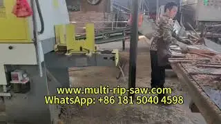 Log Multi Rip Saw Machine Intelligent Board Edger Labor Saving Production Line Multi Blade Sawmill