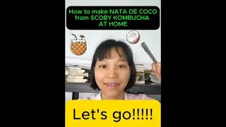 How to make NATA DE COCO from SCOBY KOMBUCHA AT HOME. C&aacute;ch l&agrave;m thạch dừa từ SCOBY Kombucha tại nh&agrave;.