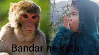 Bandaro ka bahut jyada aatank Bandar ne kata dadi ko 😲#daily vlog #village vlog #