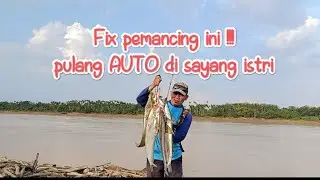streik ikan lais tembiring/fix pemancing ini auto pulang di sayang istri @talipancingkusut #mancing