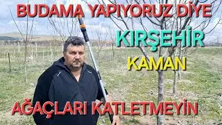 7 YAŞ FERNOR  BUDAMA YAPIYORUZ DİYE AĞAÇLARI KATLETMEYİN