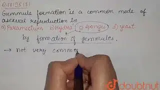 Gemmule formation is a common mode of asexual reproduction in  | CLASS 12 | REPRODUCTION | BIOLO...