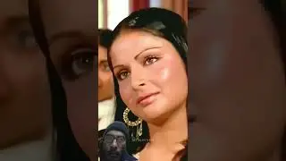 Main Pal Do Pal Ka HD 😍 | Kabhi Kabhi (1976) | Amitabh Bachchan | Mukesh #shorts #ytshorts