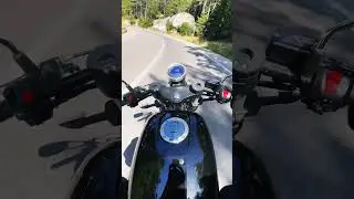 Regal raptor pilder 125