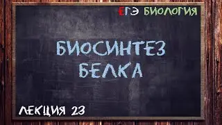 Л.23 | БИОСИНТЕЗ БЕЛКА | ОБЩАЯ БИОЛОГИЯ ЕГЭ
