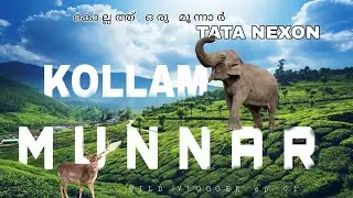 കൊല്ലം മൂന്നാർ / KOLLAM MUNNAR / TATA NEXON OFF ROAD / TEA ESTATE /TEA FACTORY  / ACHANKOVIL