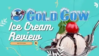 Social Wellness: Indulging in Sweet Treats at Cold Cow Ice Cream Shop in St. Augustine