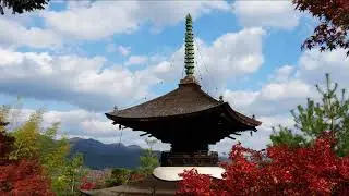 二尊院・常寂光寺・大河内山荘 2025 紅葉 ジネット・ヌブー &times; R.シュトラウス《ヴァイオリン・ソナタ 変ホ長調》 &mdash; 記録ではなく、作品として &mdash;