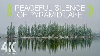 8 HRS White Noise of Wind and Gentle Lake Sound for Relaxation - 4K Peaceful Silence of Pyramid Lake