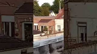 Bruit de loup ou de chien battu entendu &agrave; Gognies-Chauss&eacute;e