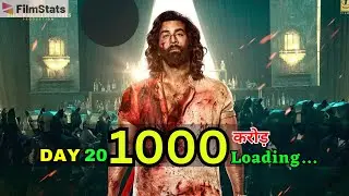 Animal Box Office Collection Day 20 | Animal Worldwide Collection All Time | Animal Total Collection